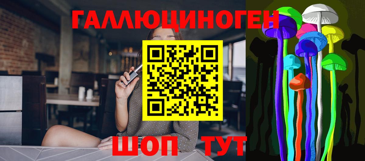 Псилоцибиновые грибы Psilocybine cubensis Гудермес