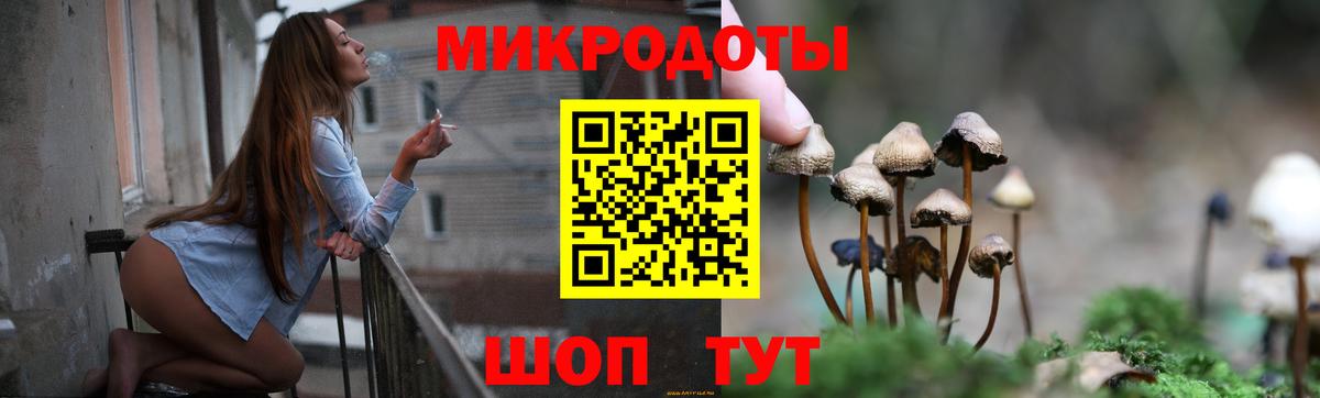 Псилоцибиновые грибы Psilocybine cubensis  Вход с VPN  Гудермес  Псилоцибиновые грибы мухоморы 