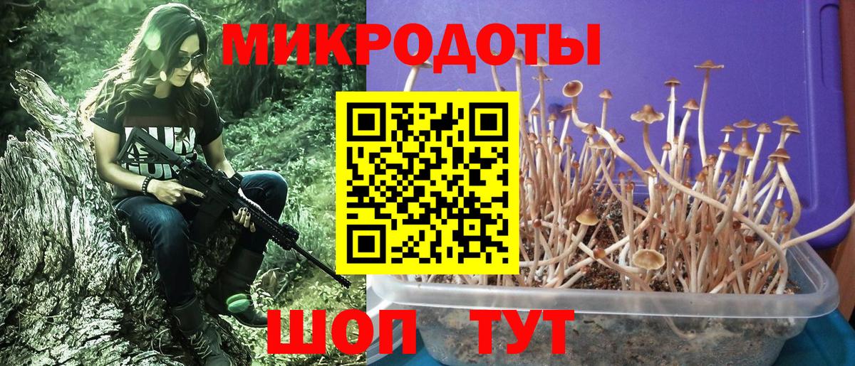 Гудермес  Гашиш  Вход с VPN  COCAIN  МЕФ кристаллы  МАРИХУАНА 